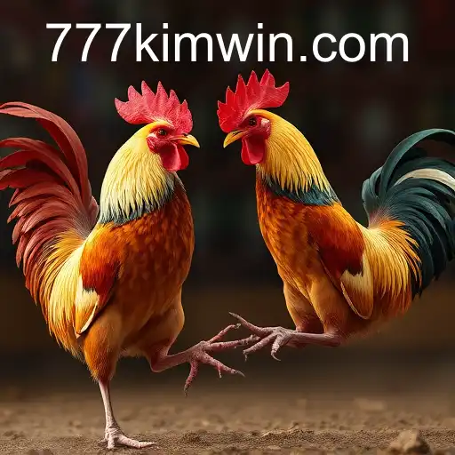 Gaming Experience 777kim PH Login - 800+ Premium and Exclusive Games